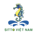 SITTO Vietnam
